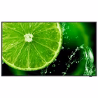 Immagine di Multisync e558