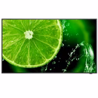 Immagine di Multisync e558