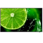 Immagine di Multisync e658