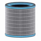 Immagine di Filtro HEPA per allergie Large per LEITZ Z-3000 2415119