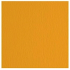 Immagine di Cartoncino liscio ruvido ElleErre cm 70x100 g220 risma da 10 fogli