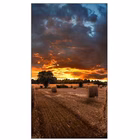 Immagine di Vm55b-u 55 ips 1920x1080 500 cd/m2