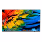 Immagine di Hotel Tv 43" 4K (3840x2160) PHILIPS 43HFL6214U/12