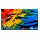 Immagine di Hotel Tv 58" 4K (3840x2160) PHILIPS 58HFL6214U/12