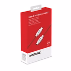 Immagine di Pantone USB-C to USB-C cable 60w rd