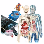 Immagine di Anatomia super