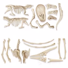 Immagine di Giochi scientifici CLEMENTONI Jurassic World 3 - Trex + Pteranodonte 19306