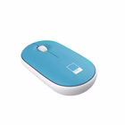 Immagine di Accessori notebook poliestere / pu Azzurro PANTONE PANTONE - Sleeve up to 15.6'' + Mouse IT COLLECT