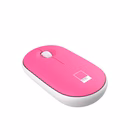 Immagine di Accessori notebook poliestere / pu Rosa PANTONE PANTONE - Sleeve up to 15.6'' + Mouse IT COLLECTI P