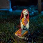 Immagine di Sally cable guy