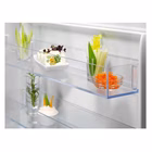 Immagine di Frigorifero E ELECTROLUX LNS5LE18S 925503339