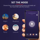 Immagine di Costruzioni PLAYMOBIL Arena del Torneo di Novelmore vs. Burnham 71298