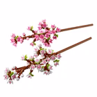 Immagine di Costruzioni LEGO Fiori di ciliegio 40725