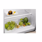 Immagine di Frigorifero E ELECTROLUX EFB3AE10S1 933035912