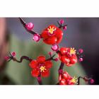 Immagine di Carta crespa CWR cm 50x250 g40 rotoli 10 colori assortiti