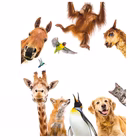 Immagine di Tombola degli animali