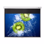 Immagine di Telo per videoproiettori manuale a parete/soffitto 16:9 no 186 cm 105.00000 OPTOMA DS-9084PMG+ DS-90