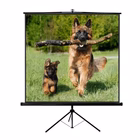 Immagine di Telo per videoproiettori manuale a cavalletto 1:1 no 180 cm 180.00000 SOPAR New Junior 180x180 SOP11