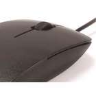 Immagine di CONCEPTRONIC MOUSE OTTICO USB 3 TASTI, DPI 1000 CLLM3BDESK
