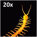 Immagine di Microscopio digitale handled pro