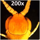 Immagine di Microscopio digitale handled pro