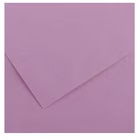 Immagine di Cartoncino canson irisvivaldi a4 g185 lilla risma da 50 fogli