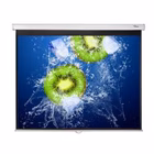 Immagine di Telo per videoproiettori a muro manuale 4:3 no 234 cm OPTOMA DS-3120PMG+ DS-3120PMG