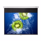 Immagine di Telo per videoproiettori manuale a parete/soffitto 16:10 no 203 cm OPTOMA DS-1095PMG+ DS-1095PMG