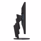 Immagine di Flex evseries 24wide ips panel