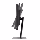 Immagine di Asus proart pa248cnv