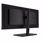 Immagine di Proart display pa348cgv