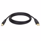 Immagine di USB 2.0 a/b cable (m/m), 6 ft.1.8m