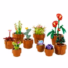 Immagine di Costruzioni LEGO Piantine 10329A