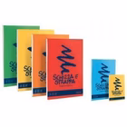 Immagine di Blocchi schizza e strappa A4 FAVINI - 5 pezzi