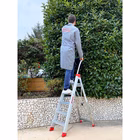 Immagine di Scala profess. FARAONE modello LADY 5 gradini