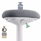 Immagine di Sgabello LEITZ ACTIVE COMFORT da seduta colore grigio chiaro