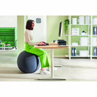 Immagine di Palla da seduta LEITZ ERGO ACTIVE anti rotolamento diametro cm 65 colore grigio scuro