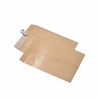 Immagine di Buste a sacco kraft avana con strip autoadesivo cm 19x26 g80