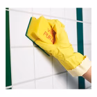 Immagine di Spugna abrasiva VILEDA PUREACTIVE colore blu