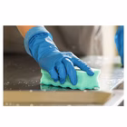 Immagine di Spugna abrasiva VILEDA PUREACTIVE colore blu