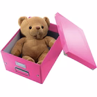 Immagine di Scatola archivio LEITZ CLICK&STORE WOW A4 rosa
