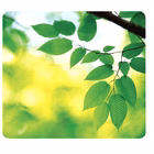 Immagine di Mousepad eco earthseries foglie
