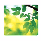 Immagine di Mousepad eco earthseries foglie