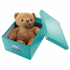 Immagine di Scatola archivio LEITZ CLICK&STORE WOW A4 acqua