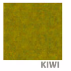 Immagine di Coprimacchia in TNT polipropilene ROIAL FIESTA 100X100 colore kiwi 100 pezzi