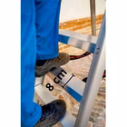 Immagine di Scala profess. FARAONE modello LADY 7 gradini