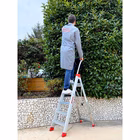 Immagine di Scala profess. FARAONE modello LADY 7 gradini