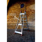 Immagine di Scala profess. FARAONE modello LADY 8 gradini