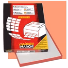 Immagine di Cf100 etichette 210x297 rosso