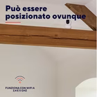 Immagine di Telecamera ip interno si TRUST IPCAM-2800 INDOOR PTZ WiFi CAMERA 2,4GHz + 5GHz - 71366TRS